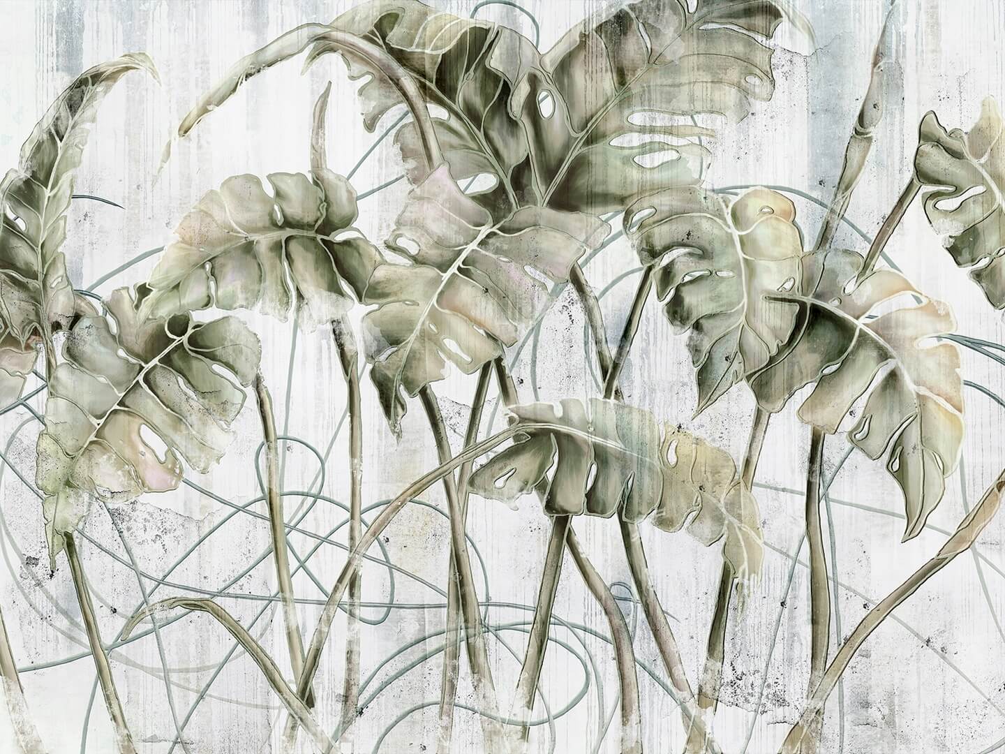 Fototapeta tropikalne liście Wallcraft Monstera 595312201