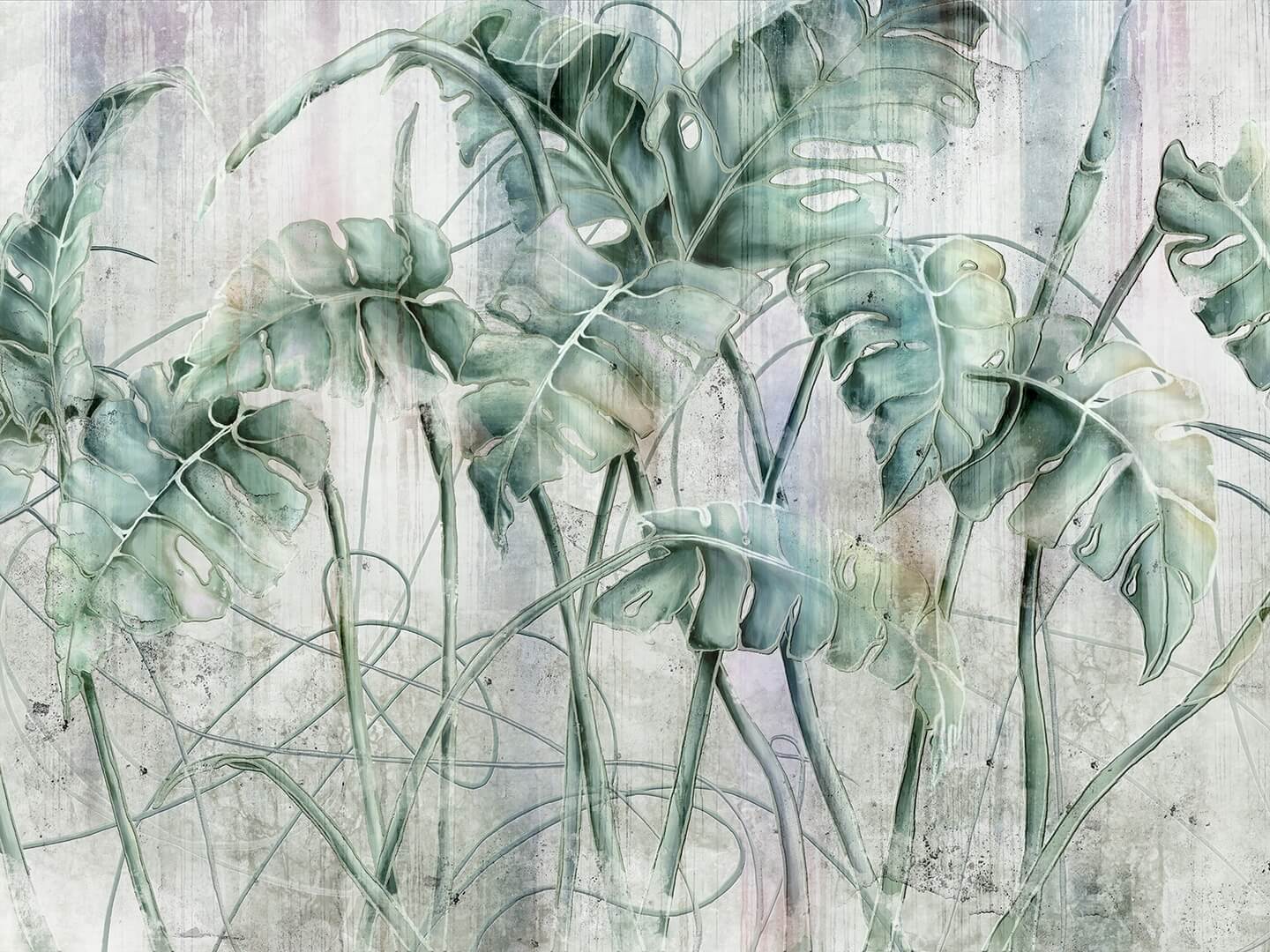 Fototapeta tropikalne liście Wallcraft Monstera 595322201