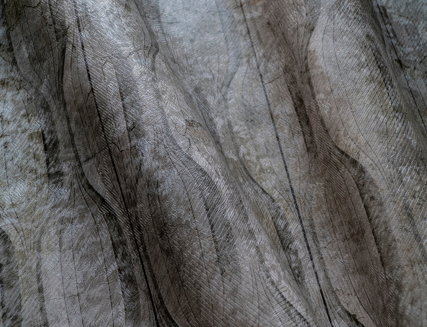 Fototapeta nowoczesna Wallcraft Norton 525322201