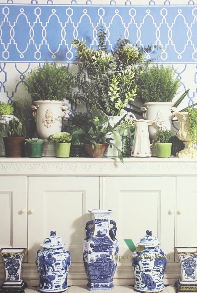 Border Cole and Son 99/3016 Folie Parterre Border