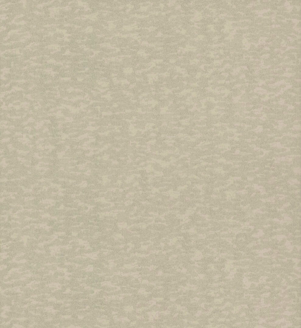 Tapeta imitująca korę York Antonina Vella DD3752 Weathered Cypress Dazzling Dimensions II