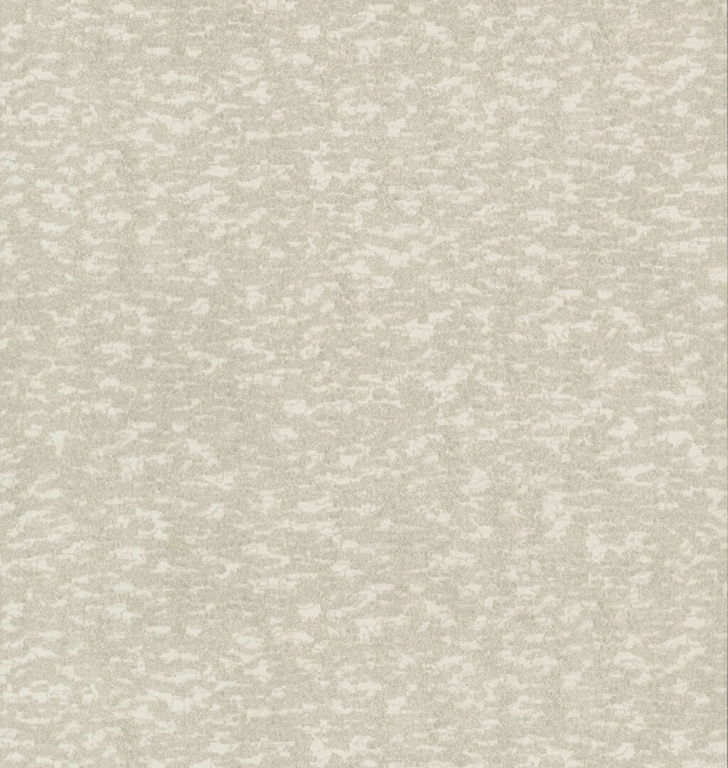 Tapeta imitująca korę York Antonina Vella DD3754 Weathered Cypress Dazzling Dimensions II