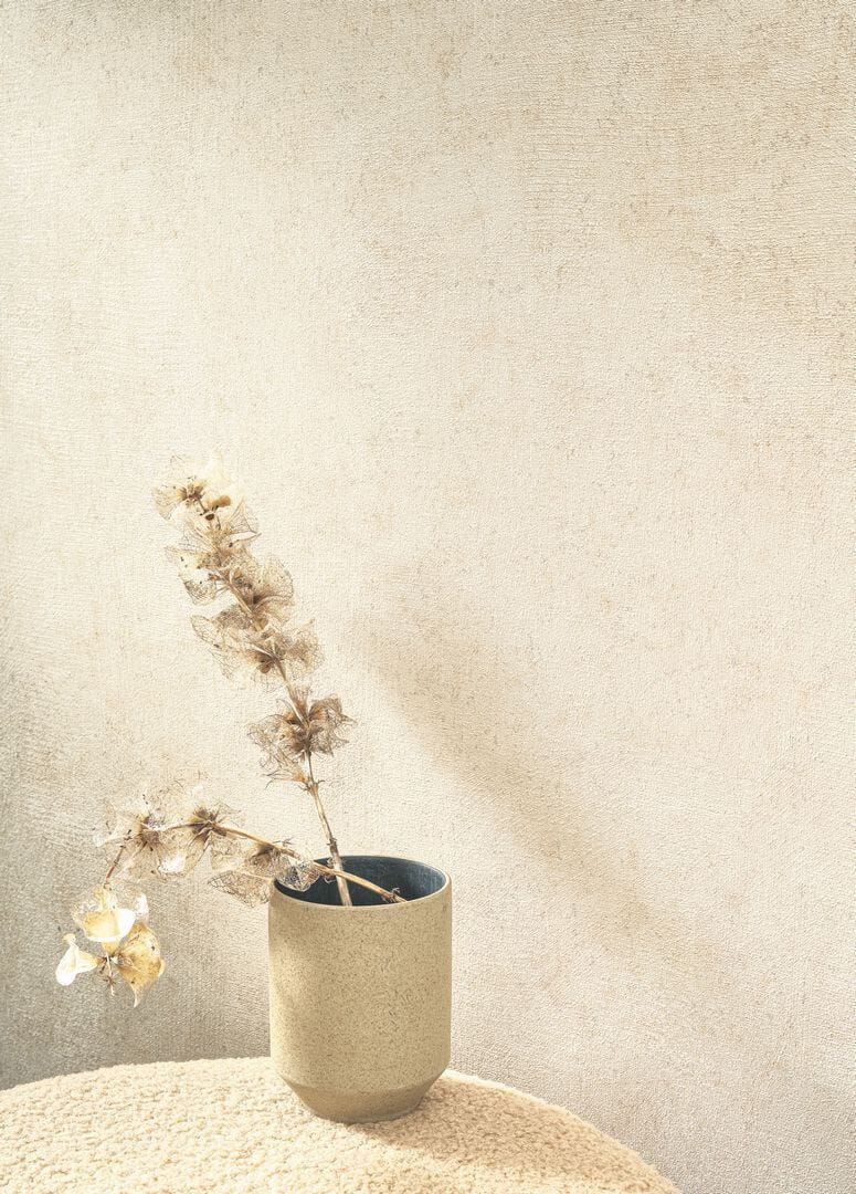 Tapeta jak tynk wapienny Casadeco MINRL 88093408 Mur A La Chaux Minerals