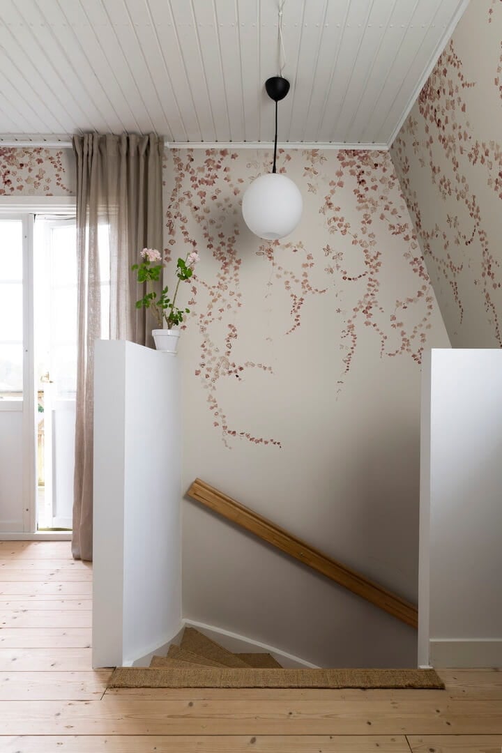 Fototapeta liście bluszczu Sandberg S10175 Aralia Burgundy Huset i Solen