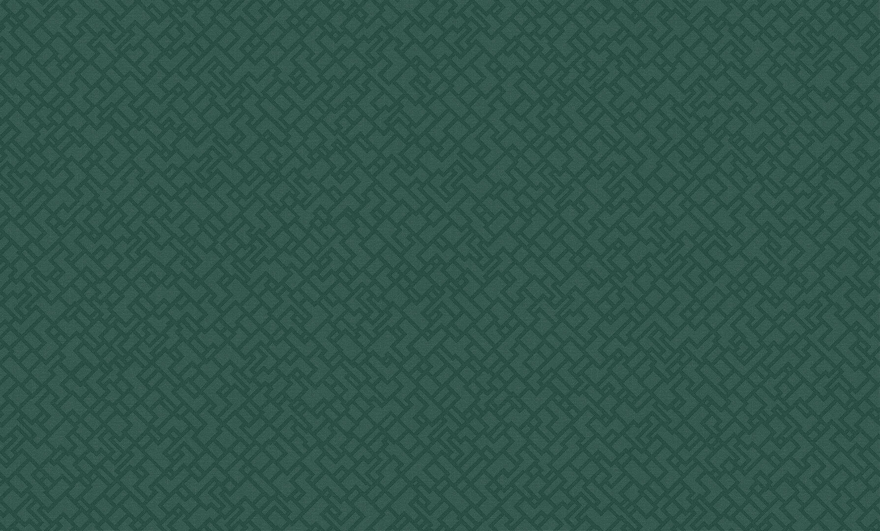 Tapeta obiektowa labirynt Texdecor DEDA 91570451 Dedale