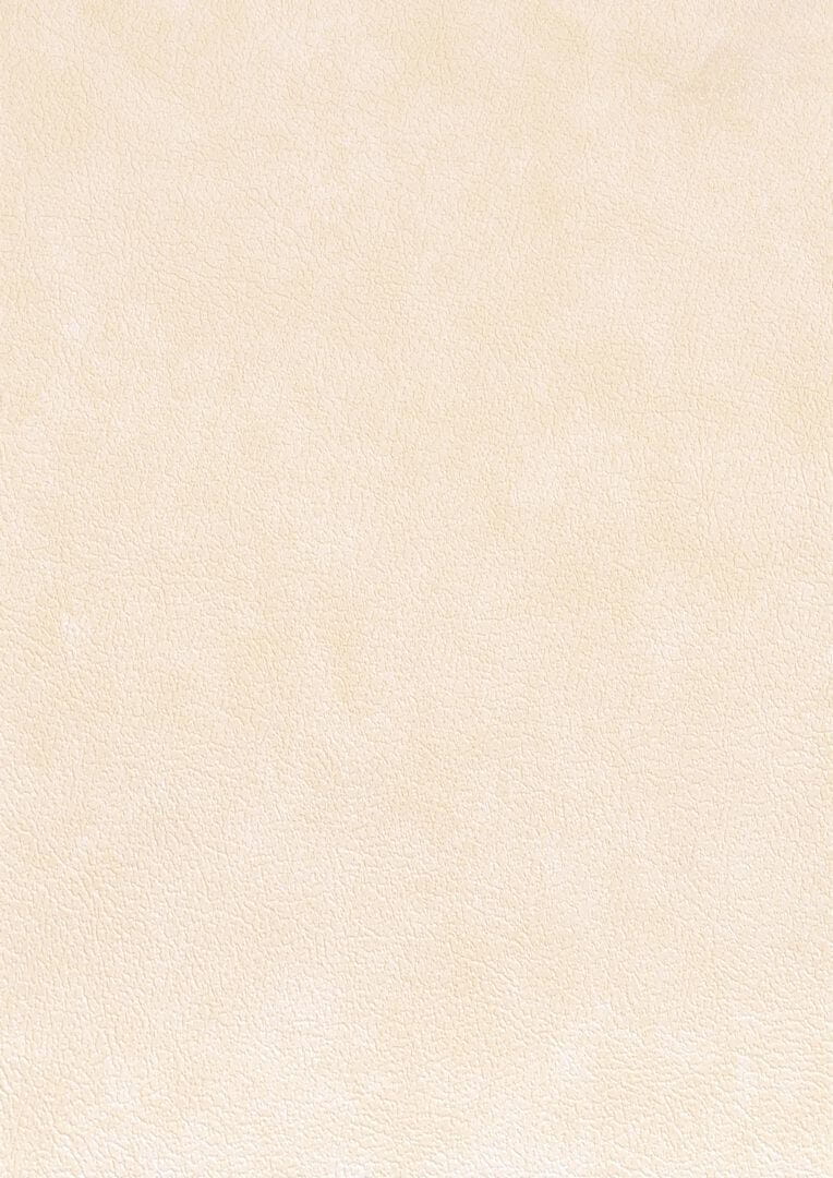 Tapeta obiektowa jak skóra Texdecor CUEO  91500256 Cuero Basane