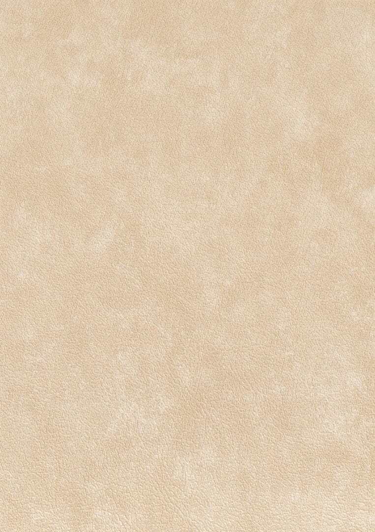 Tapeta obiektowa jak skóra Texdecor CUEO  91500293 Cuero Basane