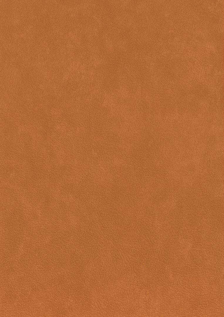Tapeta obiektowa jak skóra Texdecor CUEO  91500313 Cuero Basane