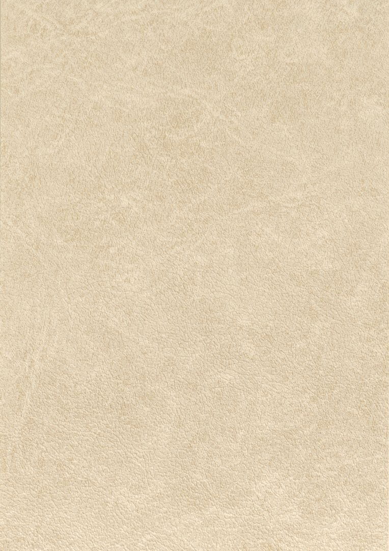 Tapeta obiektowa jak skóra Texdecor CUEO  91510239 Cuero Cordouan