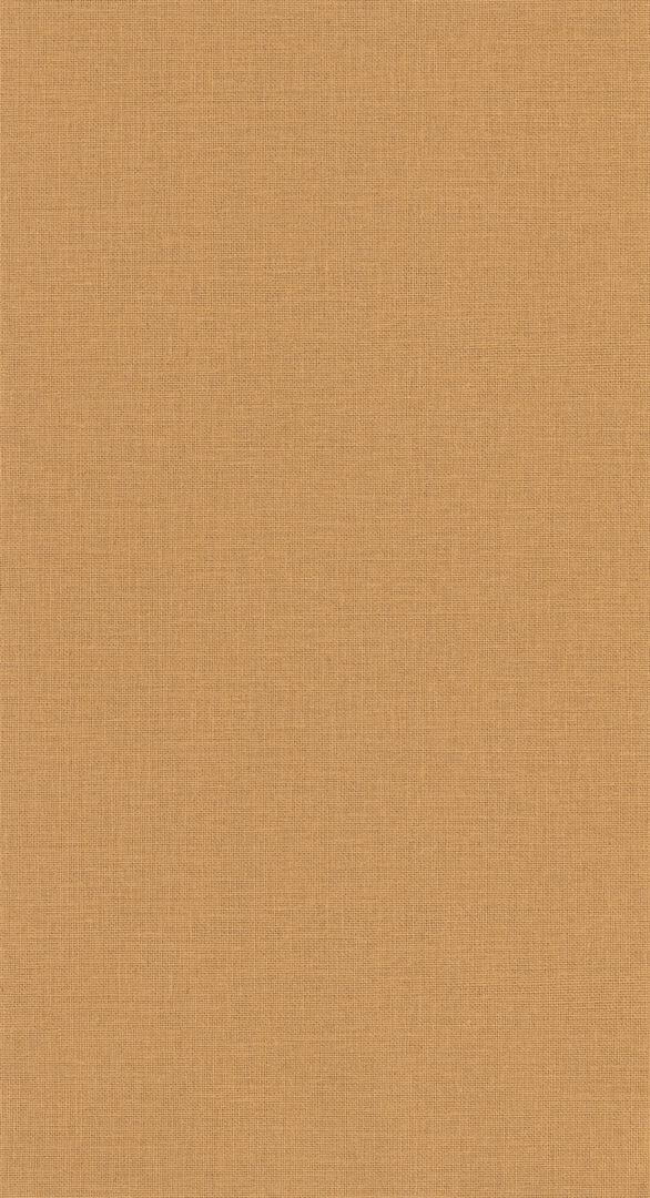 Tapeta płótno z juty Caselio JTE 104012243 Uni Mat Jute