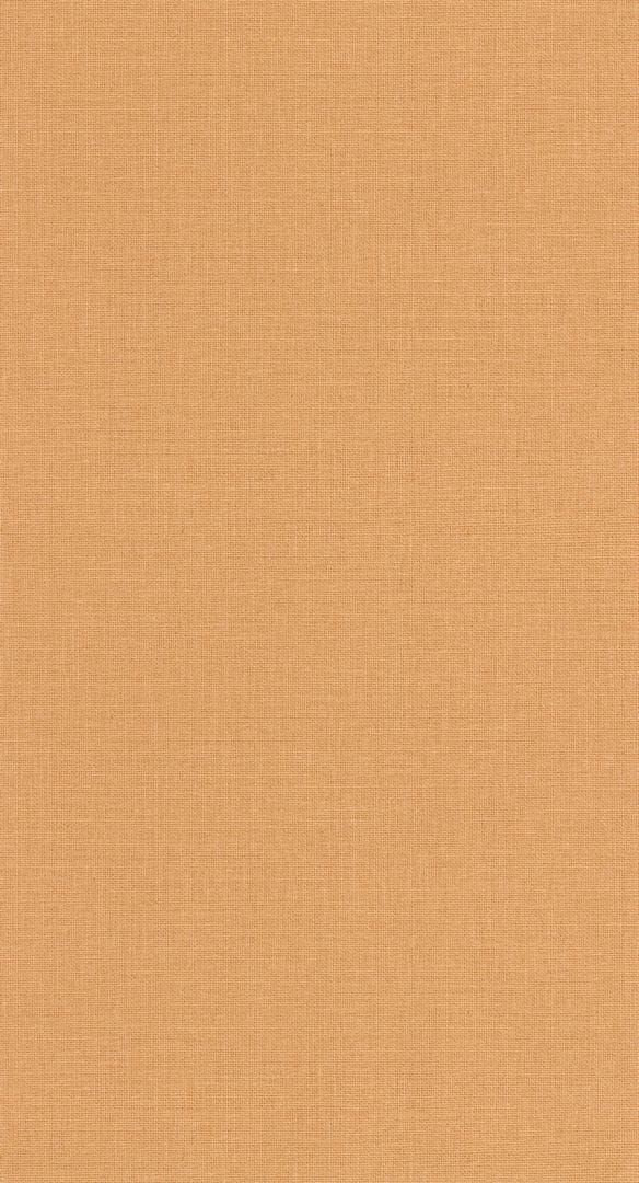 Tapeta płótno z juty Caselio JTE 104013000 Uni Mat Jute