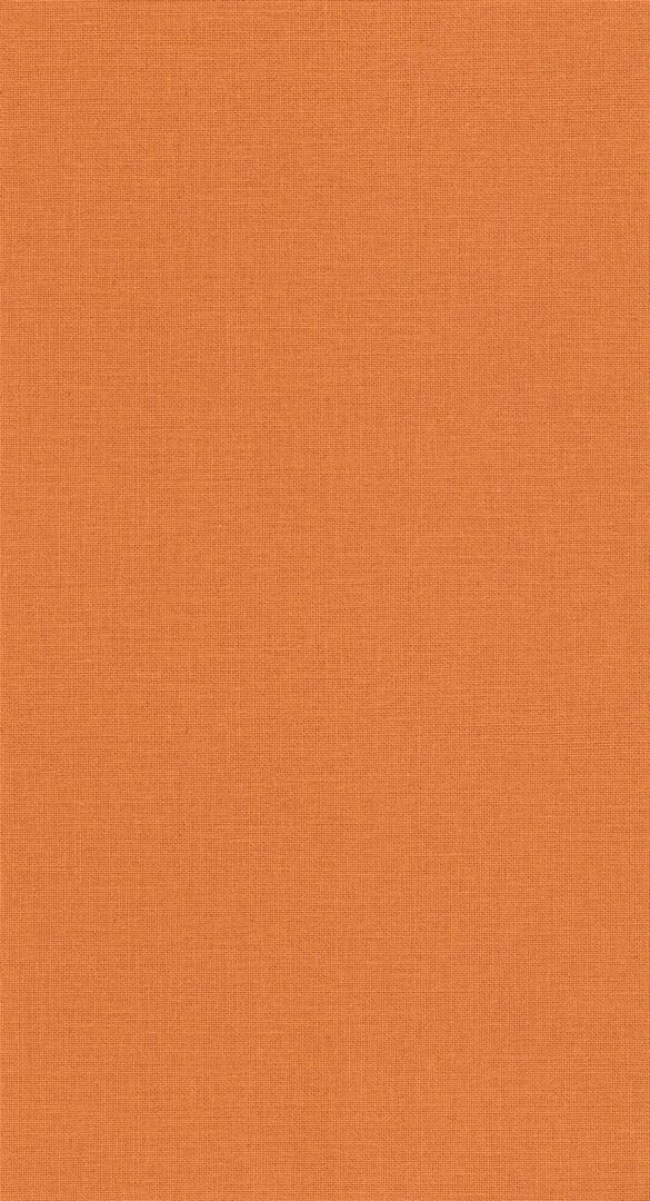 Tapeta płótno z juty Caselio JTE 104013139 Uni Mat Jute