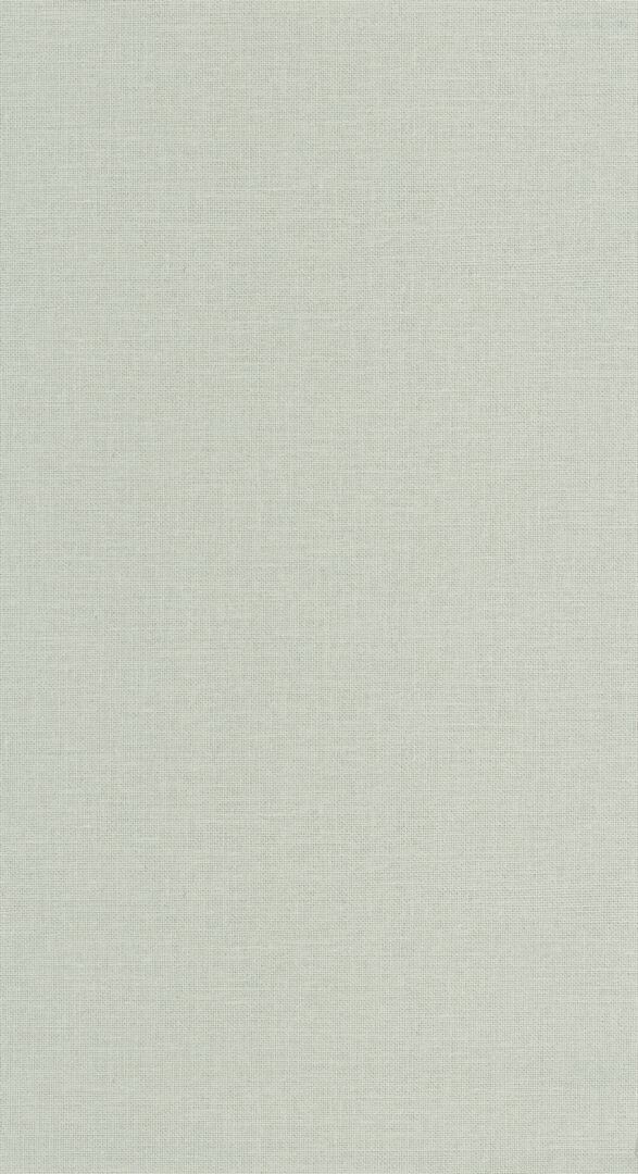 Tapeta płótno z juty Caselio JTE 104017000 Uni Mat Jute