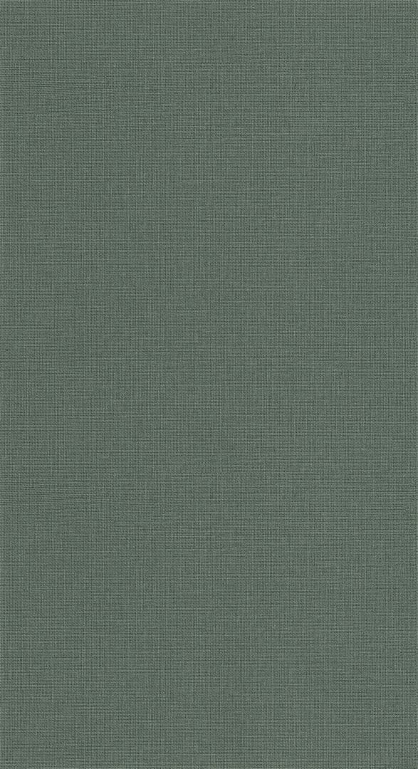 Tapeta płótno z juty Caselio JTE 104017850 Uni Mat Jute