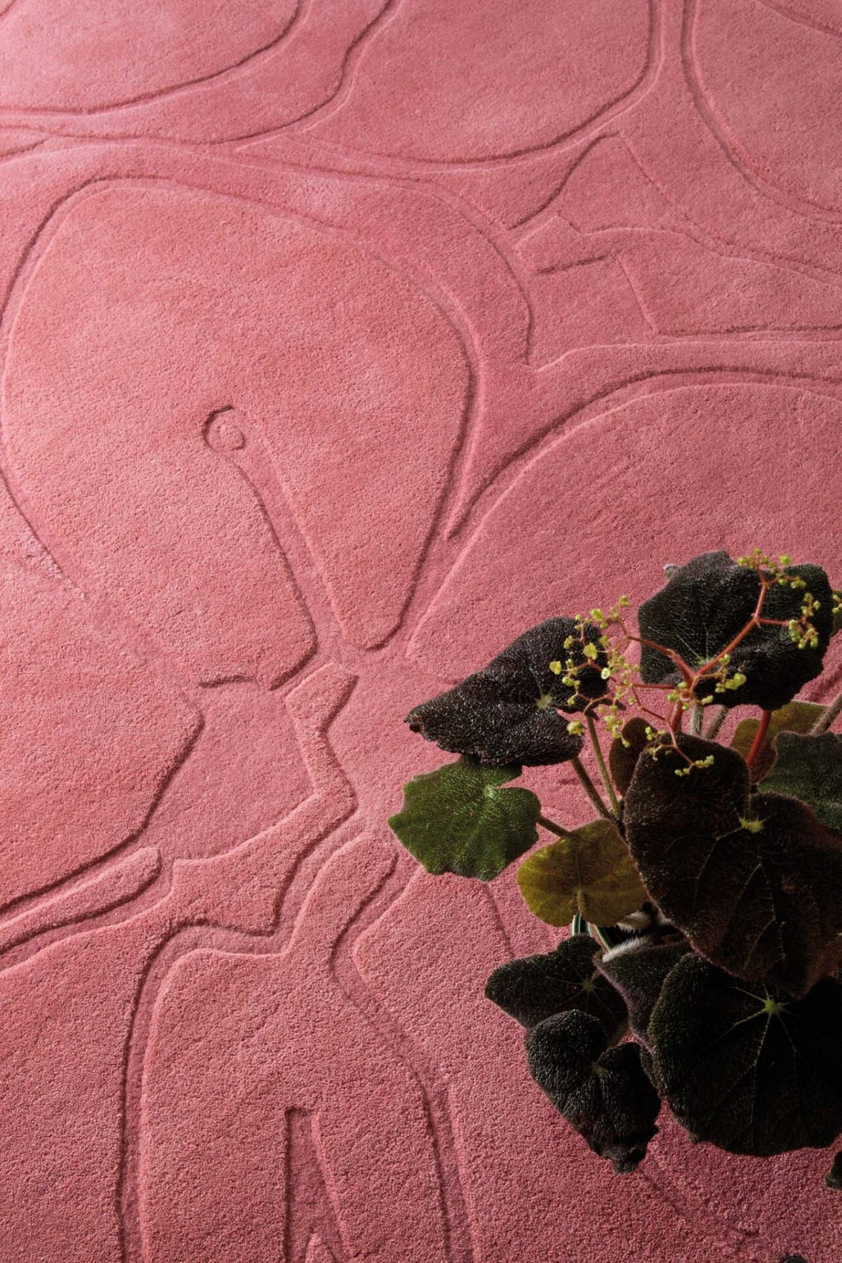 Różowy dywan w kwiaty ROMANTIC MAGNOLIA PINK 162702