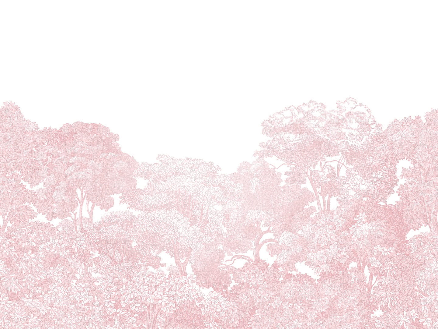 Fototapeta las Rebel Walls R13057 Bellewood Pink Rebel Favorites