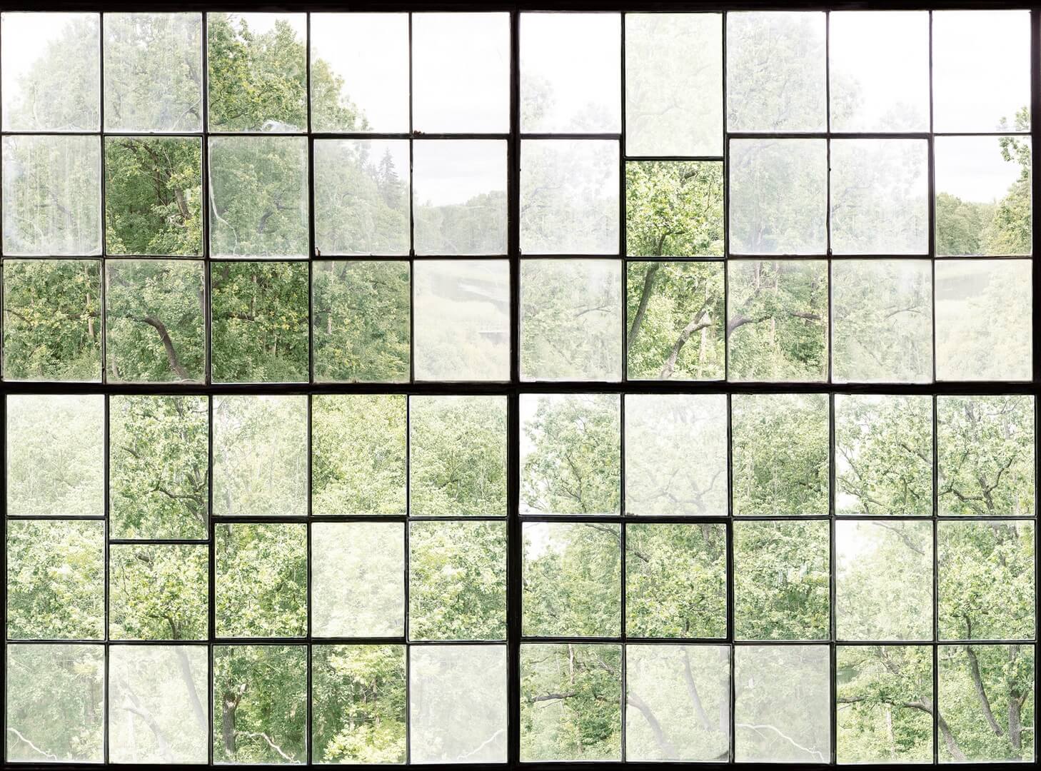 Fototapeta okna fabryki Rebel Walls R14381 Factory Window Rebel Favorites