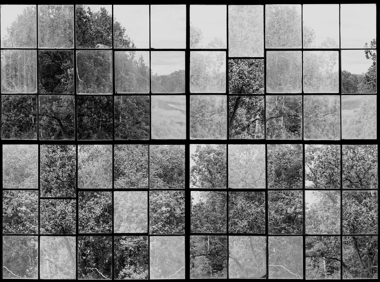 Fototapeta okna fabryki Rebel Walls R14382 Factory Window Graphite Rebel Favorites