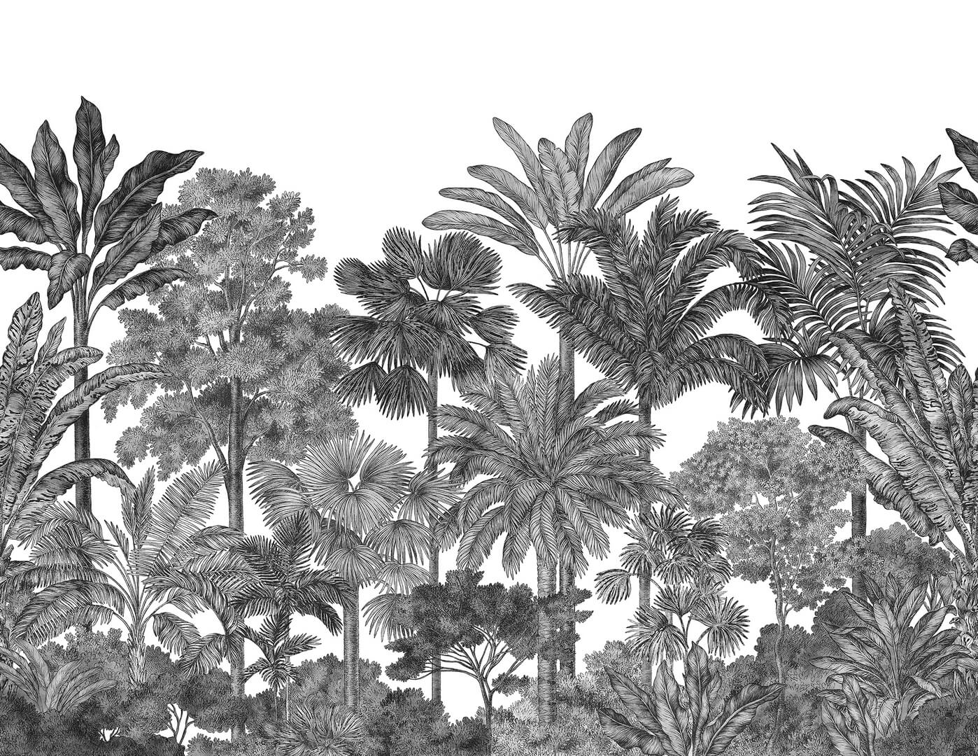 Fototapeta tropikalny las Rebel Walls R17594 Tropical Bellewood Graphite Rebel Favorites
