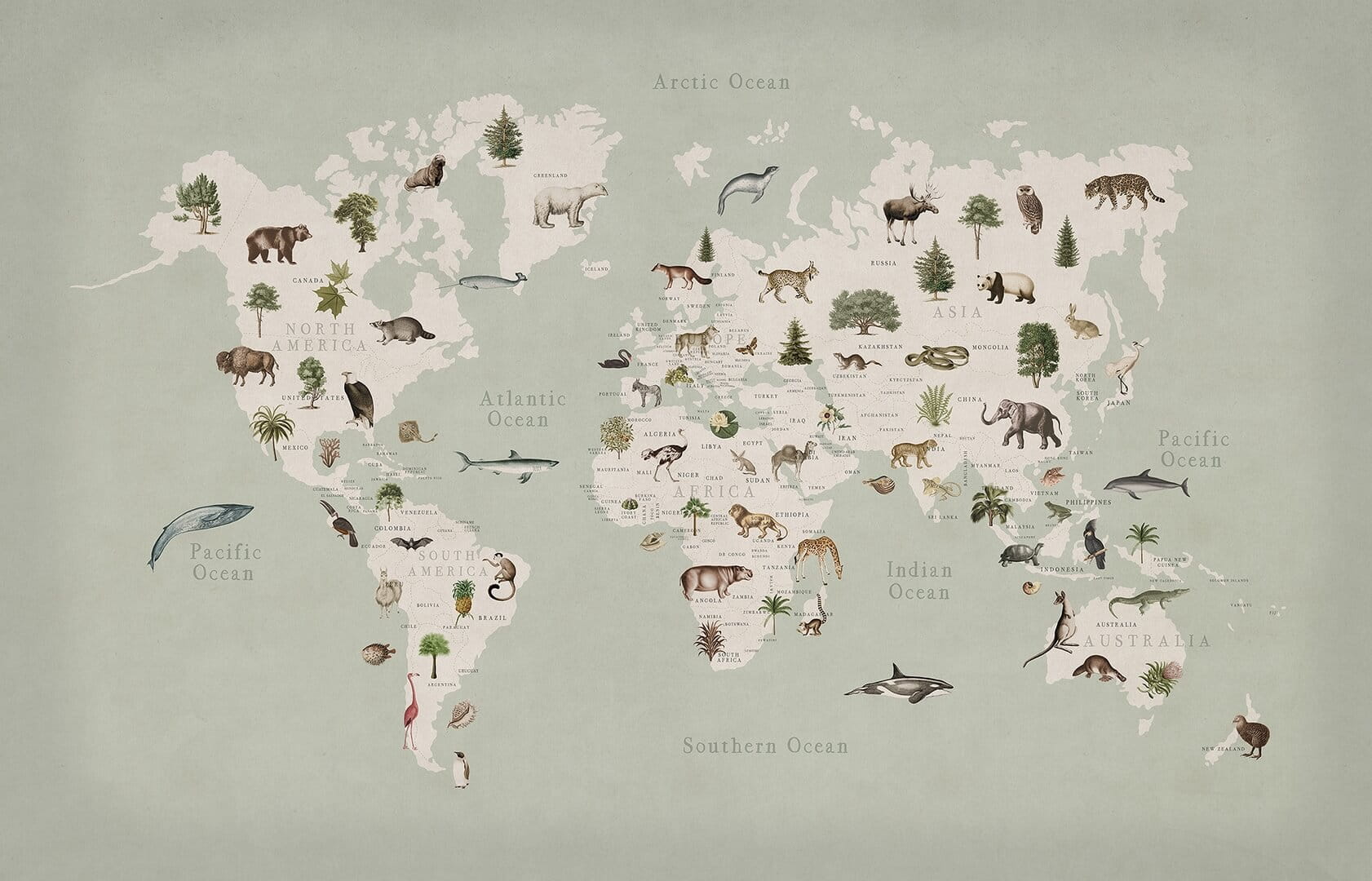 Fototapeta mapa świata i zwierzęta Rebel Walls R18441 Animal World Mint Rebel Favorites