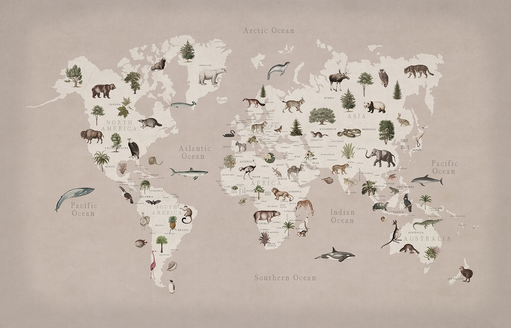 Fototapeta mapa świata i zwierzęta Rebel Walls R18442 Animal World Pastel Pink Rebel Favorites