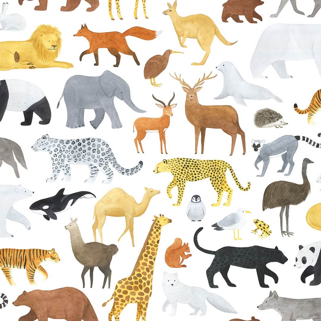 Tapeta zwierzęta Lilipinso H0720 Animalia