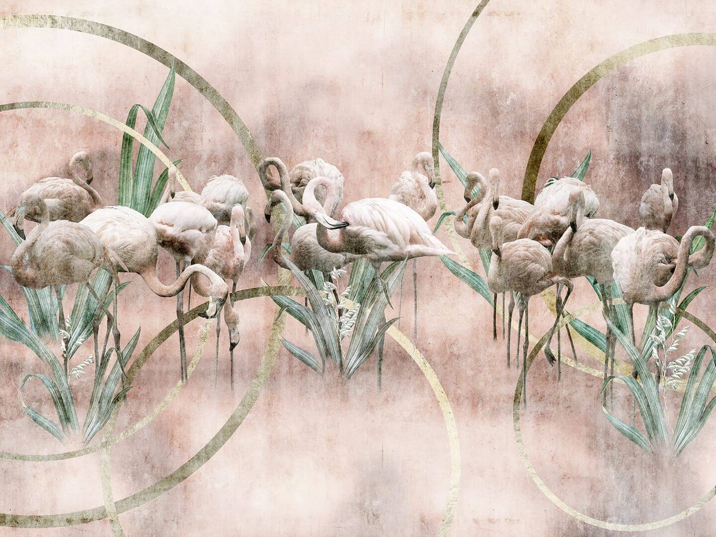 Fototapeta flamingi Wallcraft Flamingo 665322202