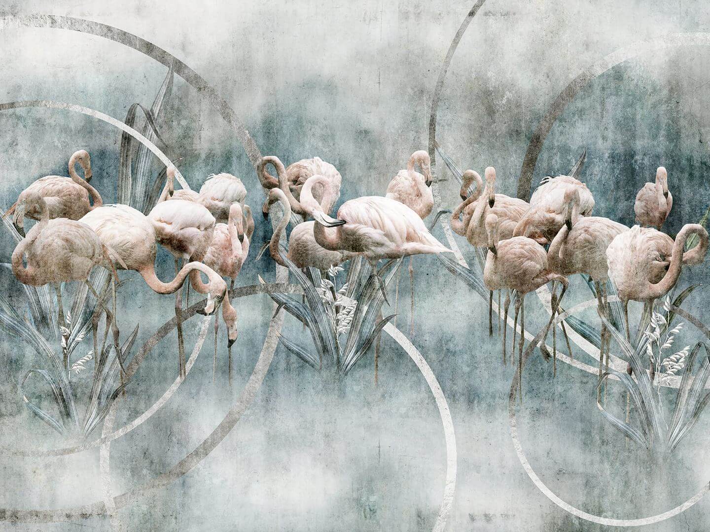 Fototapeta flamingi Wallcraft Flamingo 665312202
