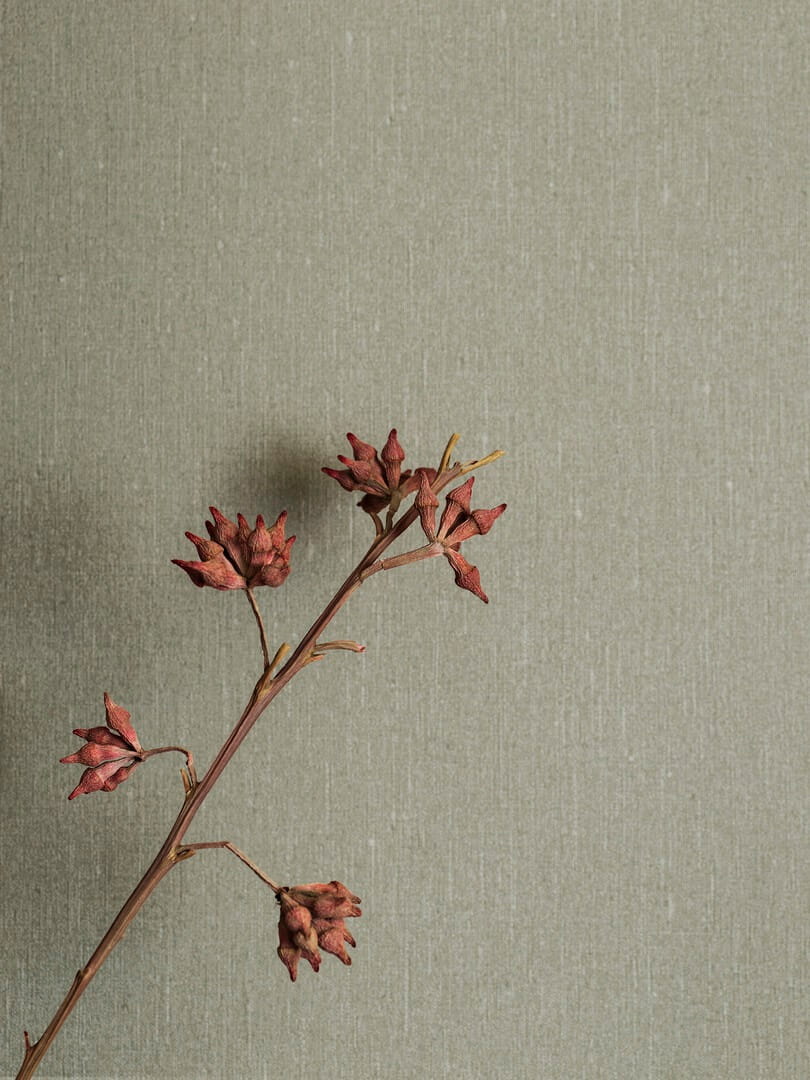 Tapeta jednokolorowa Boras Tapeter Soft Olive 4335 Linen II