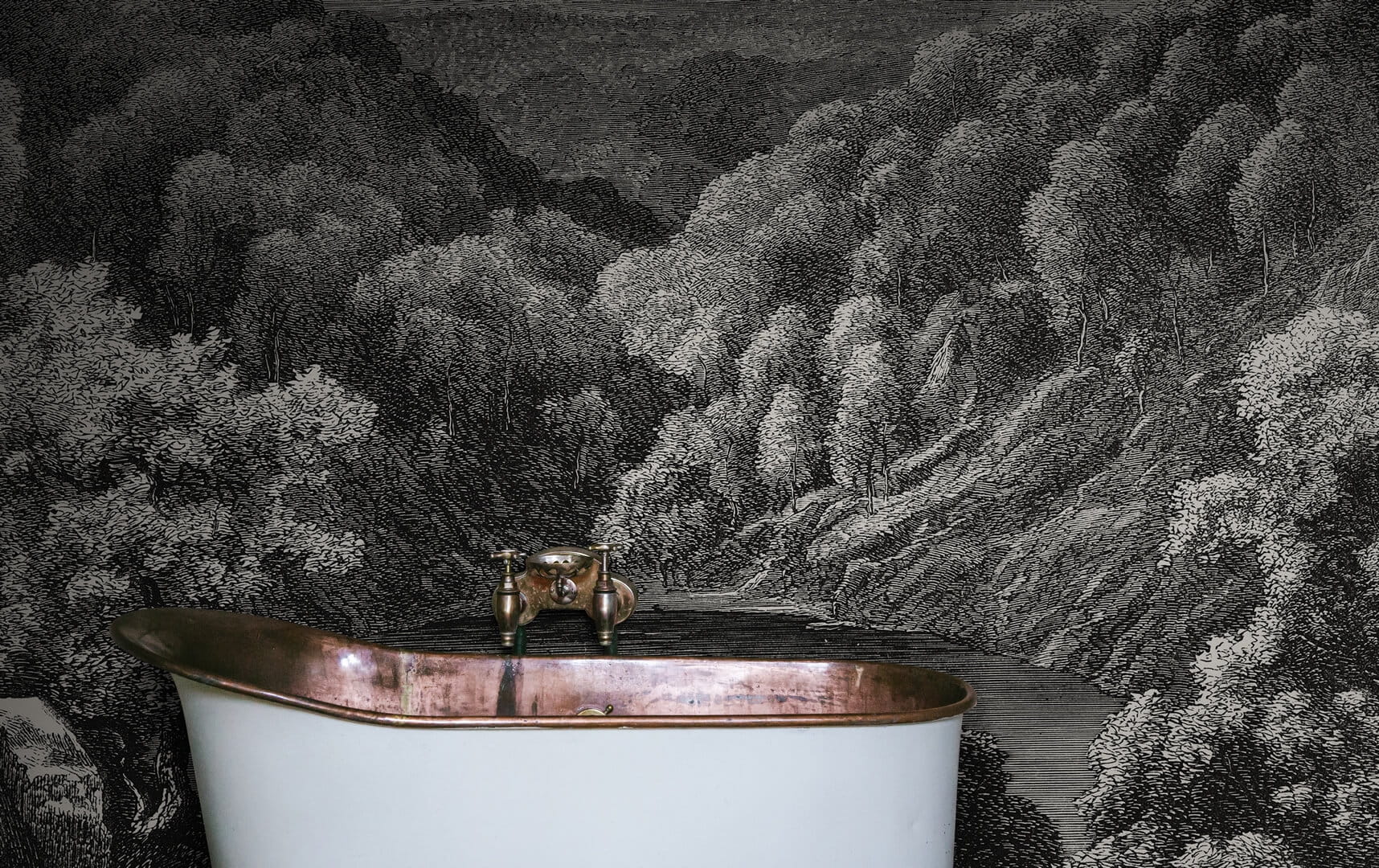 Fototapeta krajobraz lasu i jeziora Rebel Walls R19216 Mystery Lake Vintage Vintage Brocade