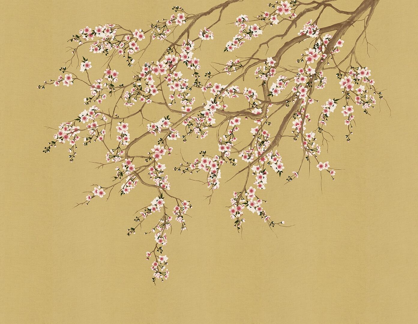 Fototapeta kwiaty kwitnącej wiśni London Art Haori KMN05 A Tale Books: Kimono
