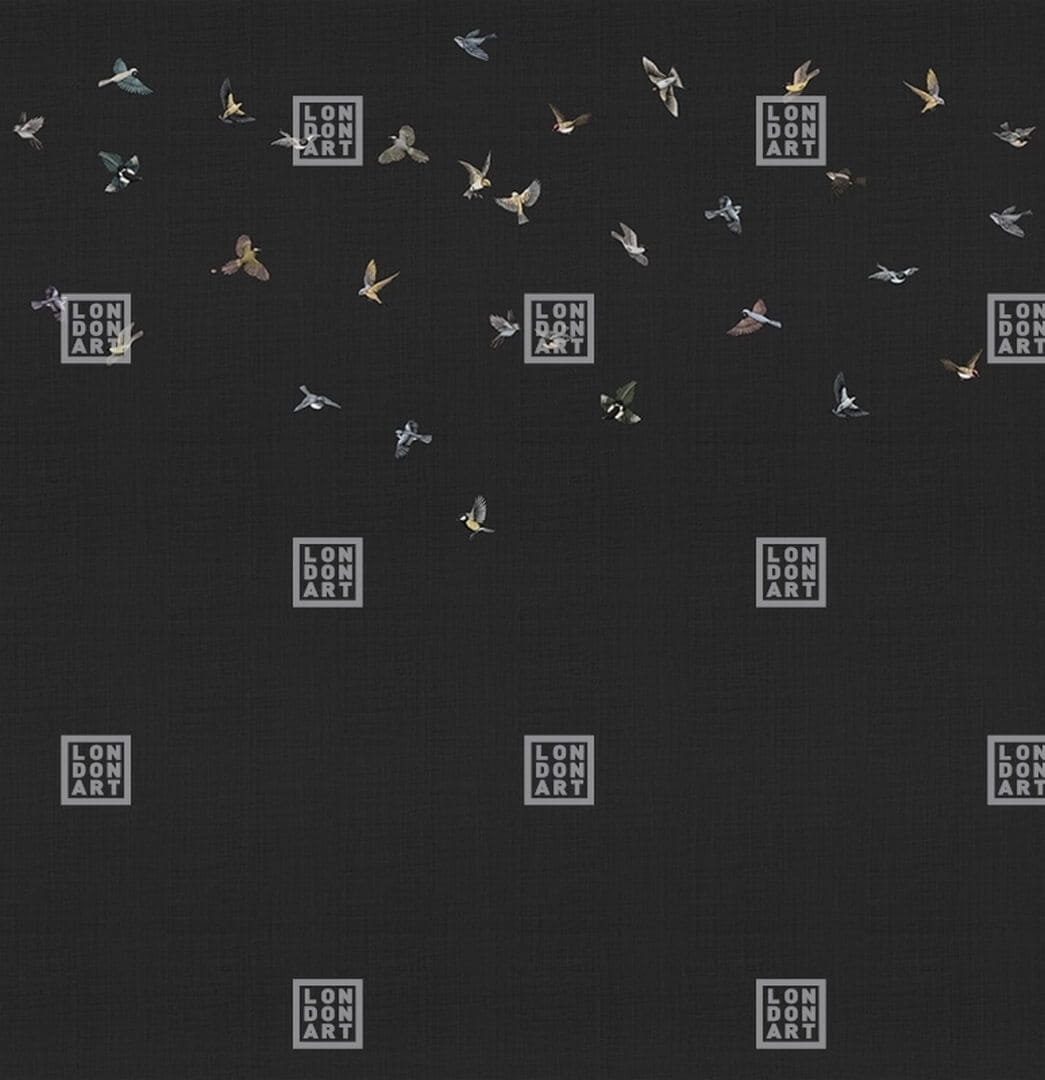 Fototapeta ptaki London Art Yuki KMN16 C Tale Books: Kimono