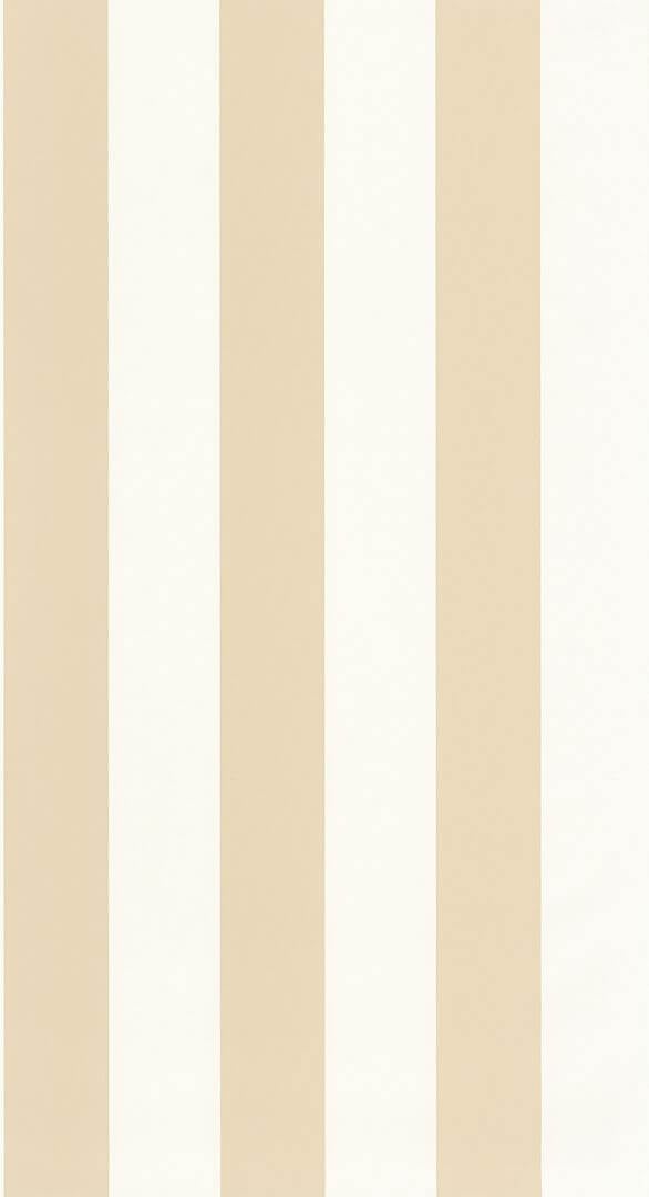 Tapeta pasy winylowa Caselio BAI 104021050 Wide Lines Basics