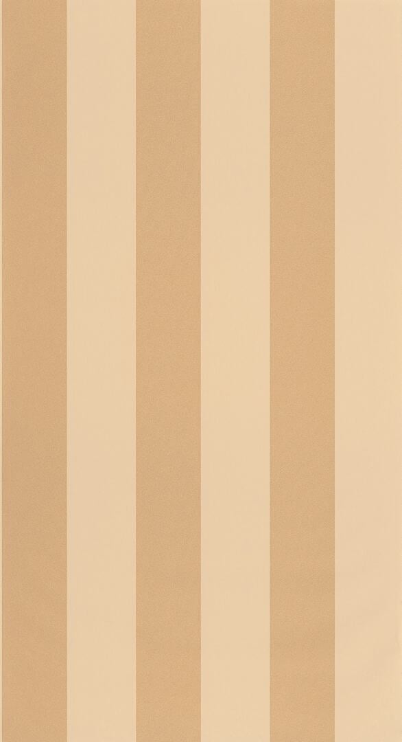 Tapeta pasy winylowa Caselio BAI 104021180 Wide Lines Basics