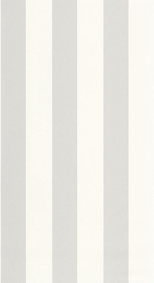 Tapeta pasy winylowa Caselio BAI 104029001 Wide Lines Basics
