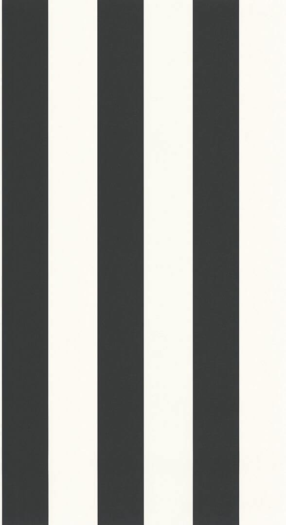 Tapeta pasy winylowa Caselio BAI 104029290 Wide Lines Basics