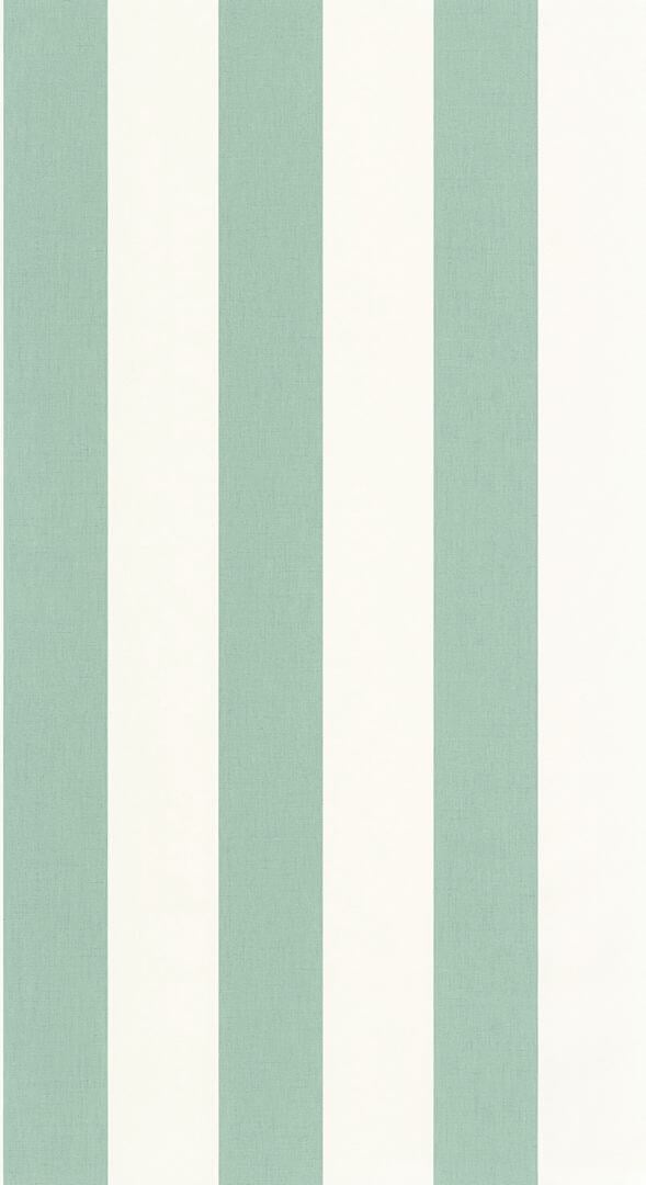 Tapeta paski winylowa Caselio BAI 104047100 Linen Lines Basics