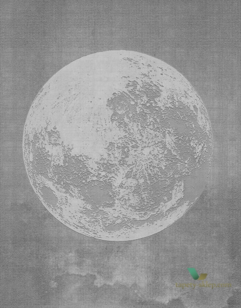 Fototapeta Wall&Deco Luna plena WDLU1702 Contemporary 2017