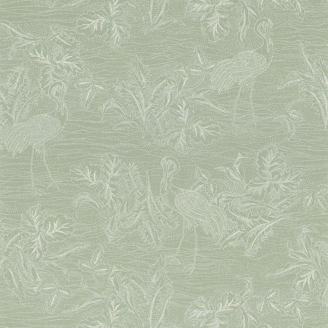 Tapeta egzotyczne ptaki Casamance 75891426 Mirador L'Ile Aux Oiseaux