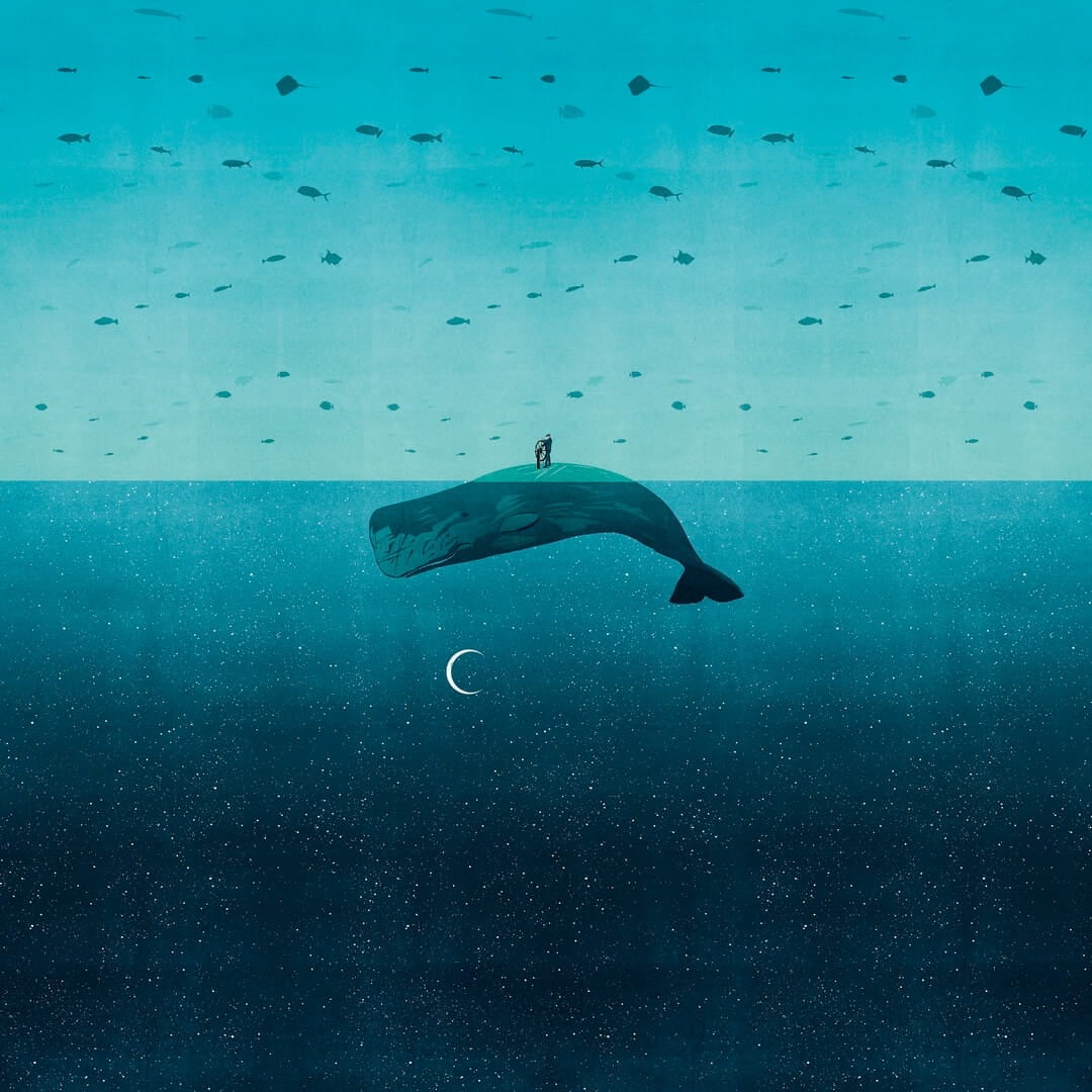 Fototapeta wieloryb Wall&Deco WDEO2301 Eos Contemporary 2023