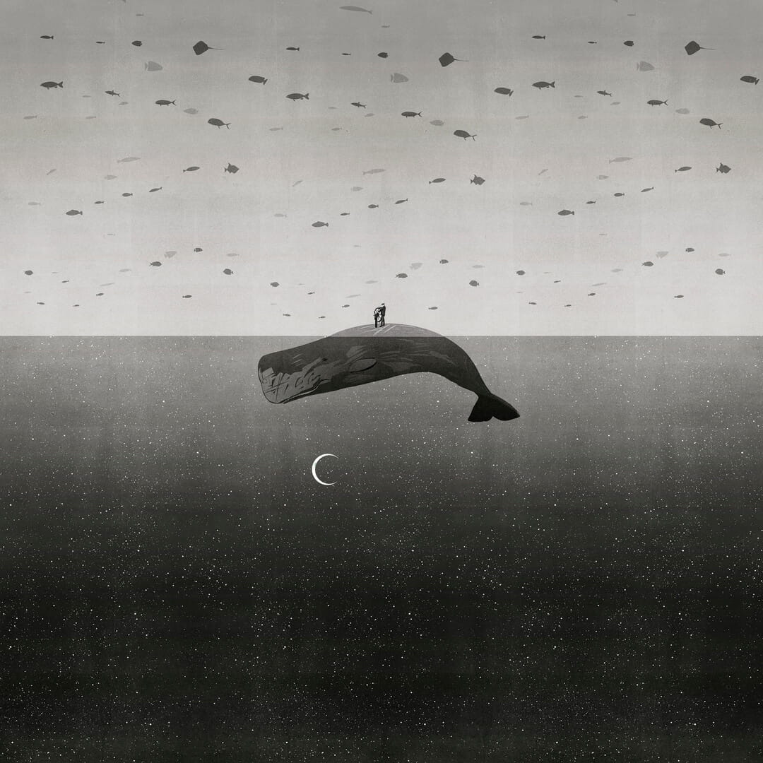 Fototapeta wieloryb Wall&Deco WDEO2302 Eos Contemporary 2023