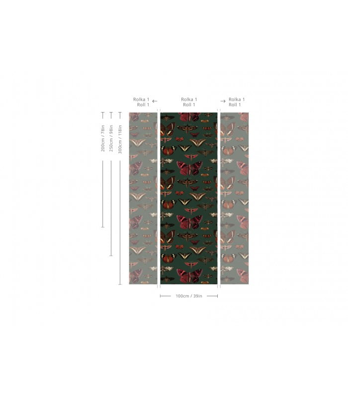Mural motyle Butterflies Vert 4364 Wallcolors