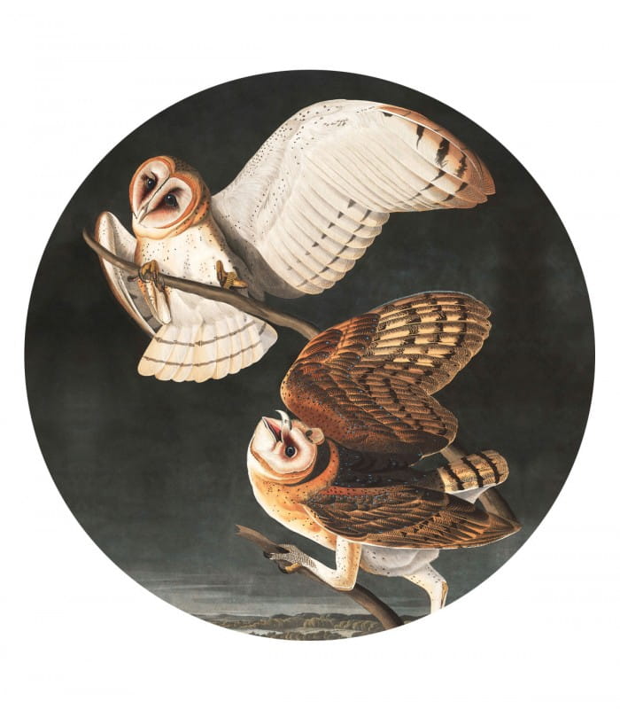 Mural okrągły sowy Dots Owls 8688 Wallcolors