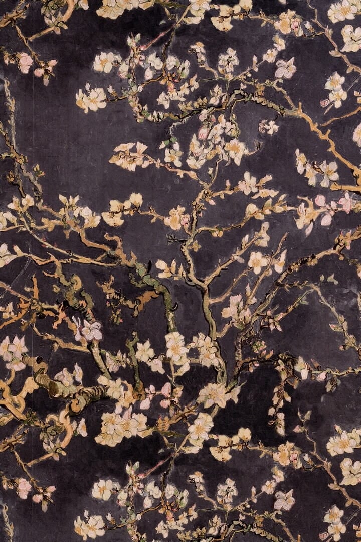 Tapeta 221552 drzewo migdałowca BN Walls 5028484 Van Gogh III