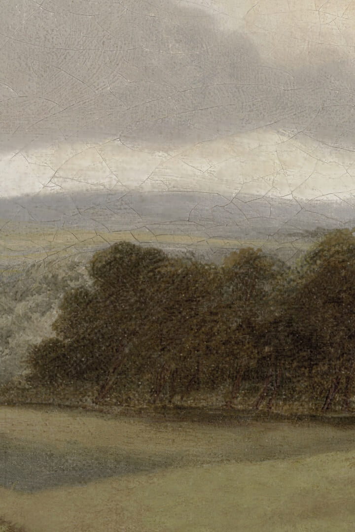 Mural botaniczny krajobraz angielskiej wioski Boras Tapeter Studio Oilpainting Landscape 9482W