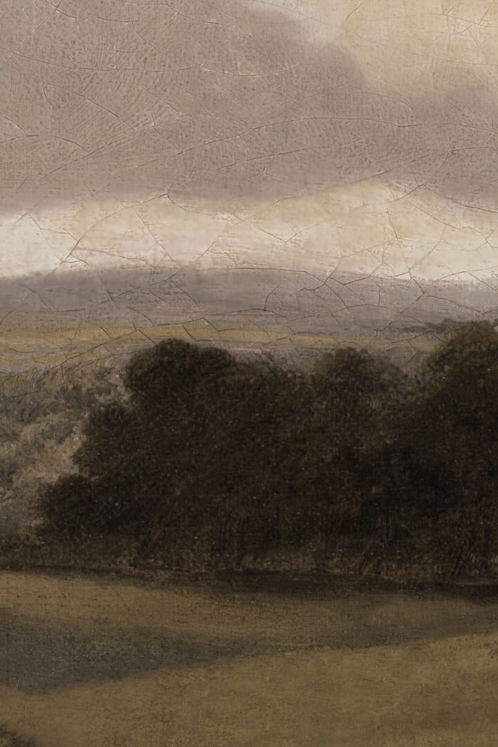 Mural botaniczny krajobraz angielskiej wioski Boras Tapeter Studio Oilpainting Landscape 9483W