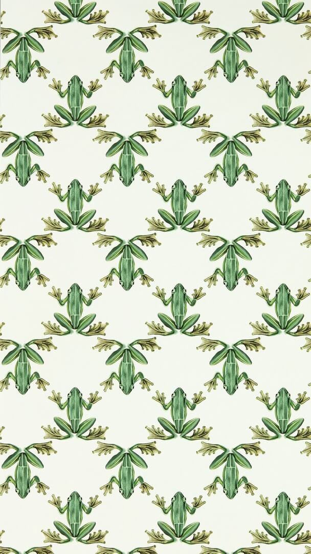 Tapeta żaby Harlequin 113011 Wood Frog Colour 4