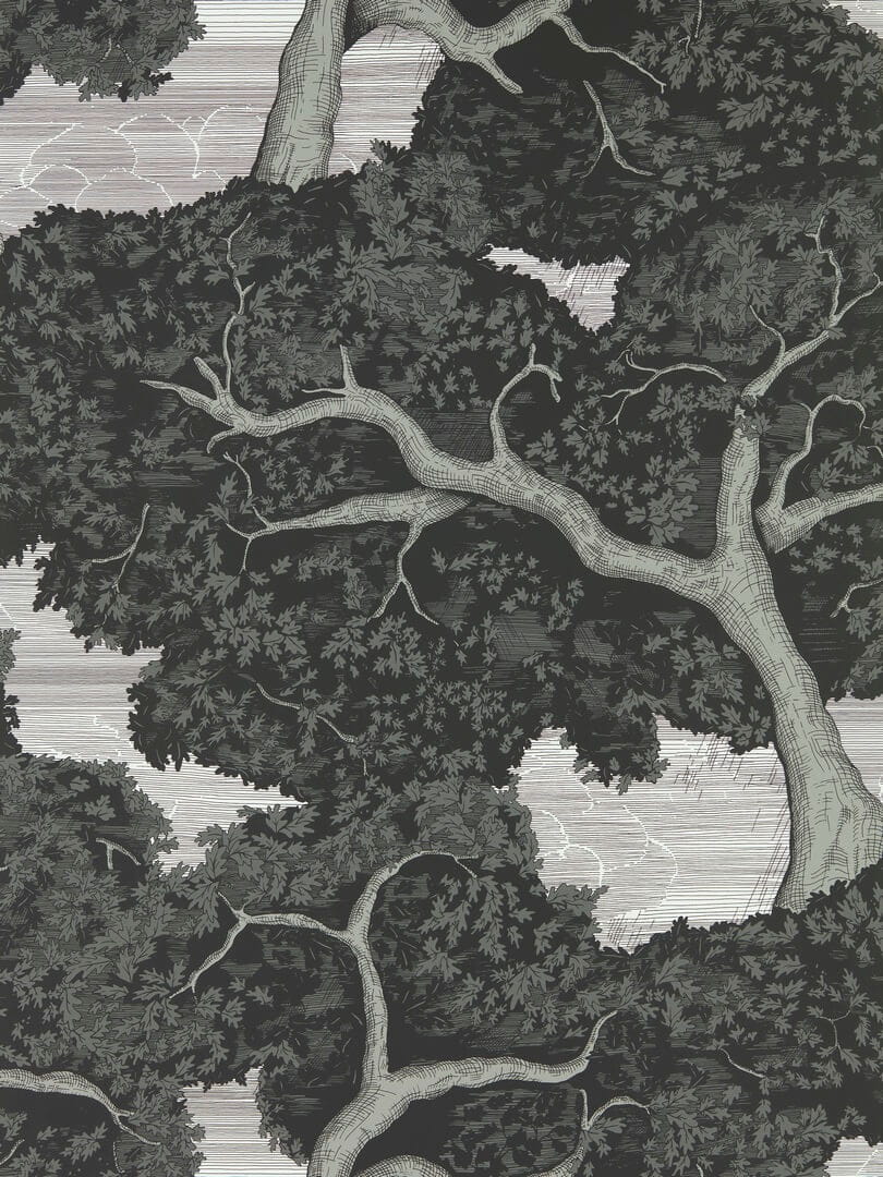 Tapeta drzewa Harlequin 113040 Eternal Oak Colour 4