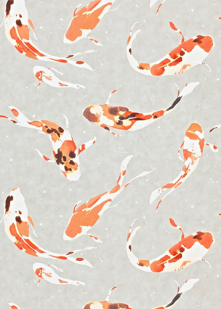 Tapeta ryby koi Harlequin 110903 Koi Colour 4