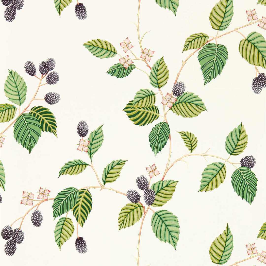Tapeta roślinne pnącza jeżyny Sanderson 217227 Rubus Arboretum